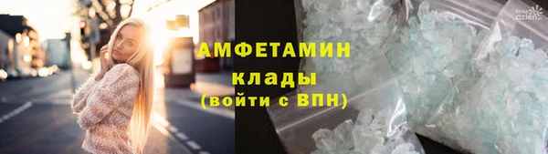 стаф Алзамай