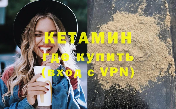 стаф Алзамай