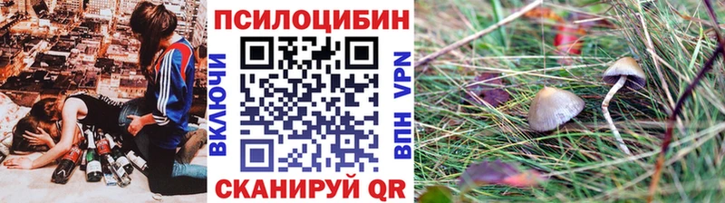 Галлюциногенные грибы прущие грибы  Моздок 